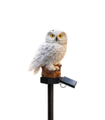 Coruja das Neves com LED e Painel Solar