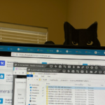 Decoração De Gato Bravo Nervoso Para Janela Parede Banheiro